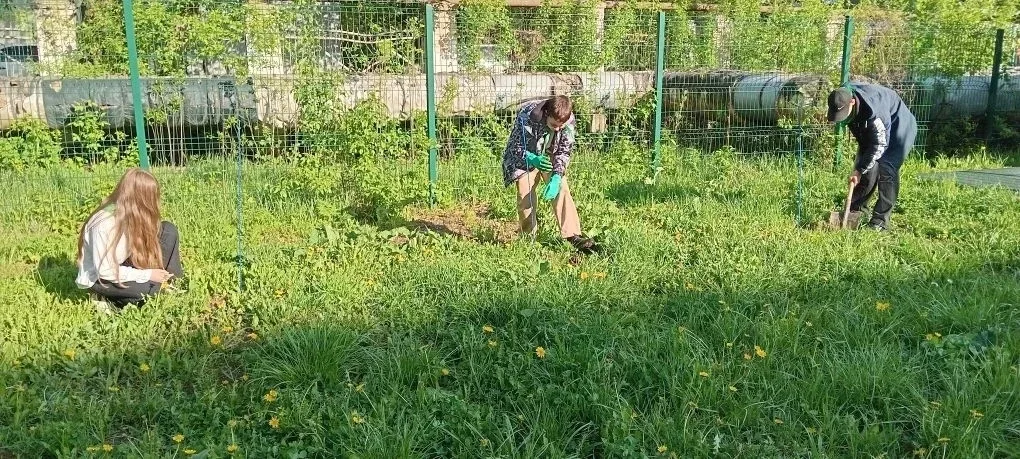 НОВОСТИ ШКОЛЬНОГО ЛЕСНИЧЕСТВА  В весенний период участники школьного лесничества "Лесное наследие" в