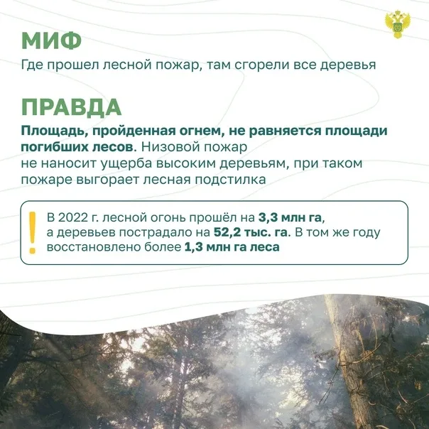 Администратор: Бондарева В.В.