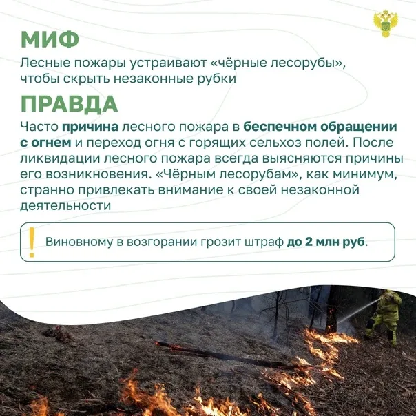 Администратор: Бондарева В.В.