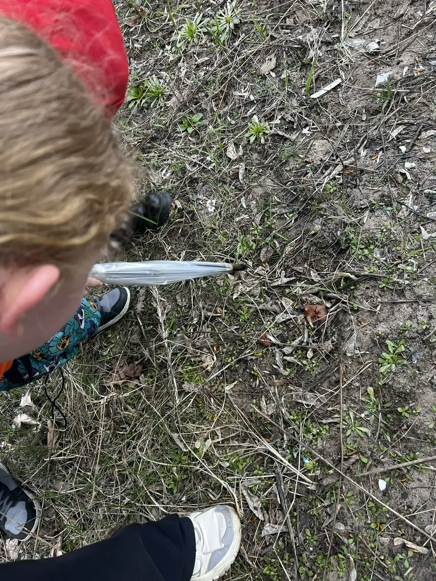 🌿 Экофейс: знакомимся с природой! ☀ В объединении «Экофейс» мы не только гуляем, но и учимся видеть,