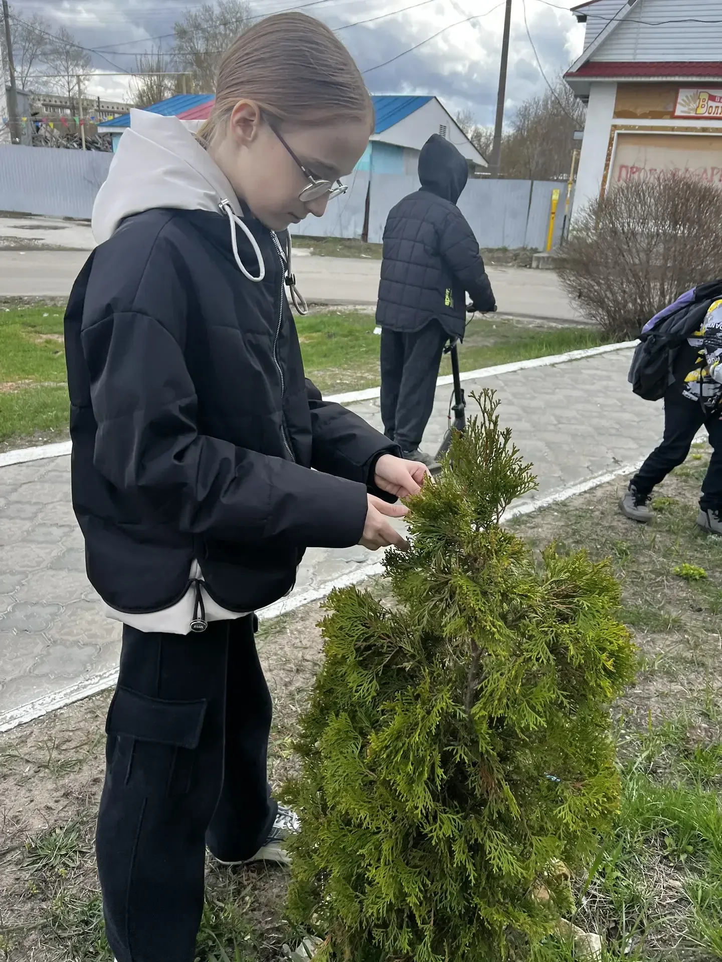 🌿 Экофейс: знакомимся с природой! ☀ В объединении «Экофейс» мы не только гуляем, но и учимся видеть,