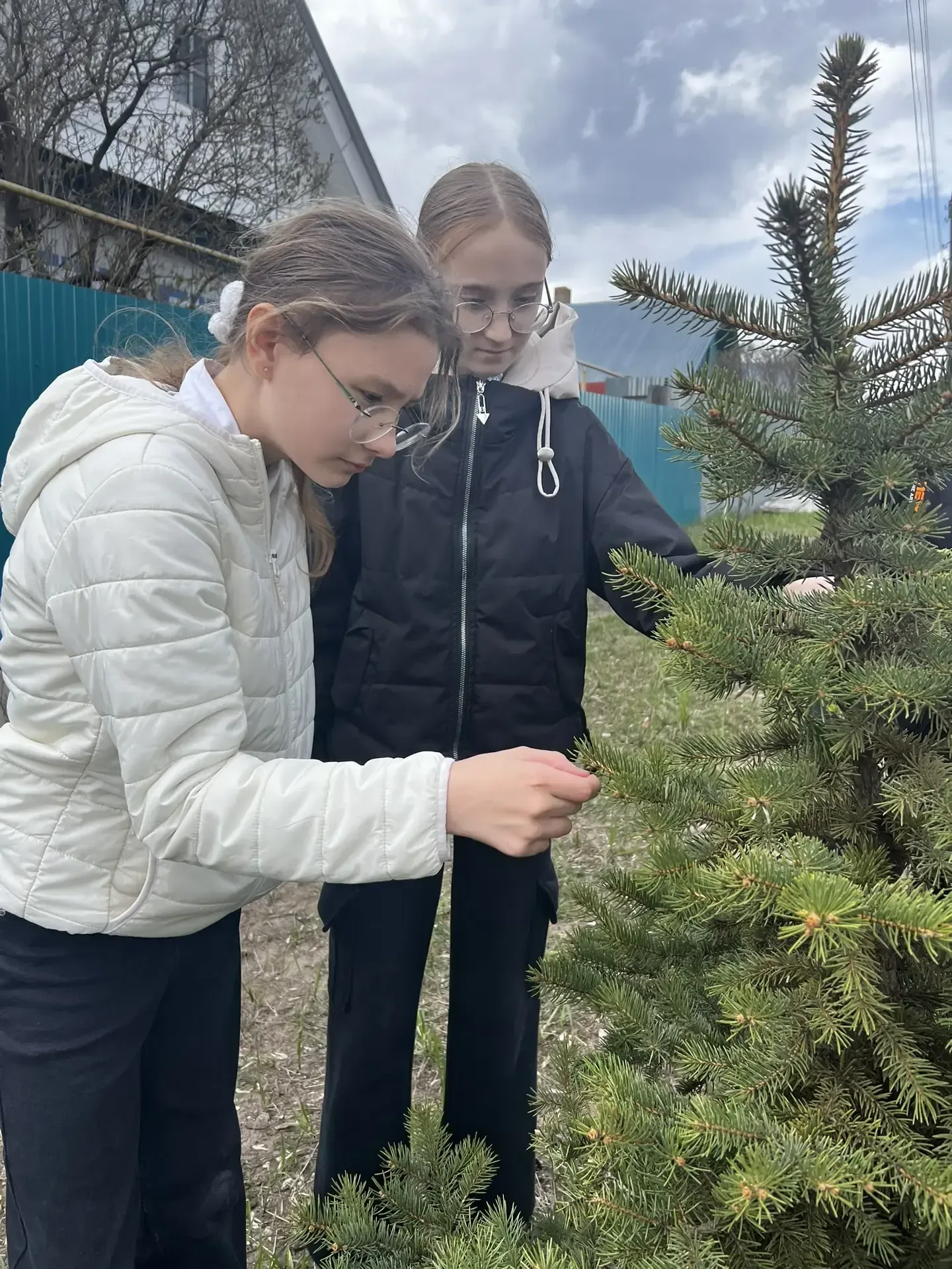 🌿 Экофейс: знакомимся с природой! ☀ В объединении «Экофейс» мы не только гуляем, но и учимся видеть,