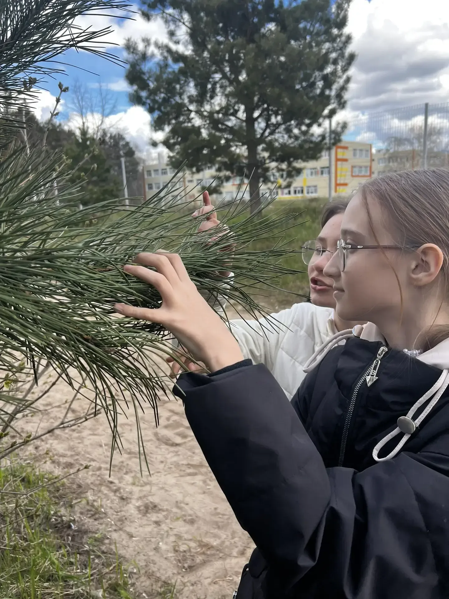 🌿 Экофейс: знакомимся с природой! ☀ В объединении «Экофейс» мы не только гуляем, но и учимся видеть,