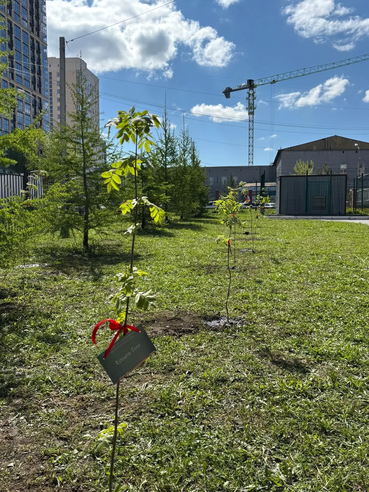 🌱Аллея Победы!🌱  Сегодня было по-настоящему трогательное событие: наши активисты, учителя, уважаемые