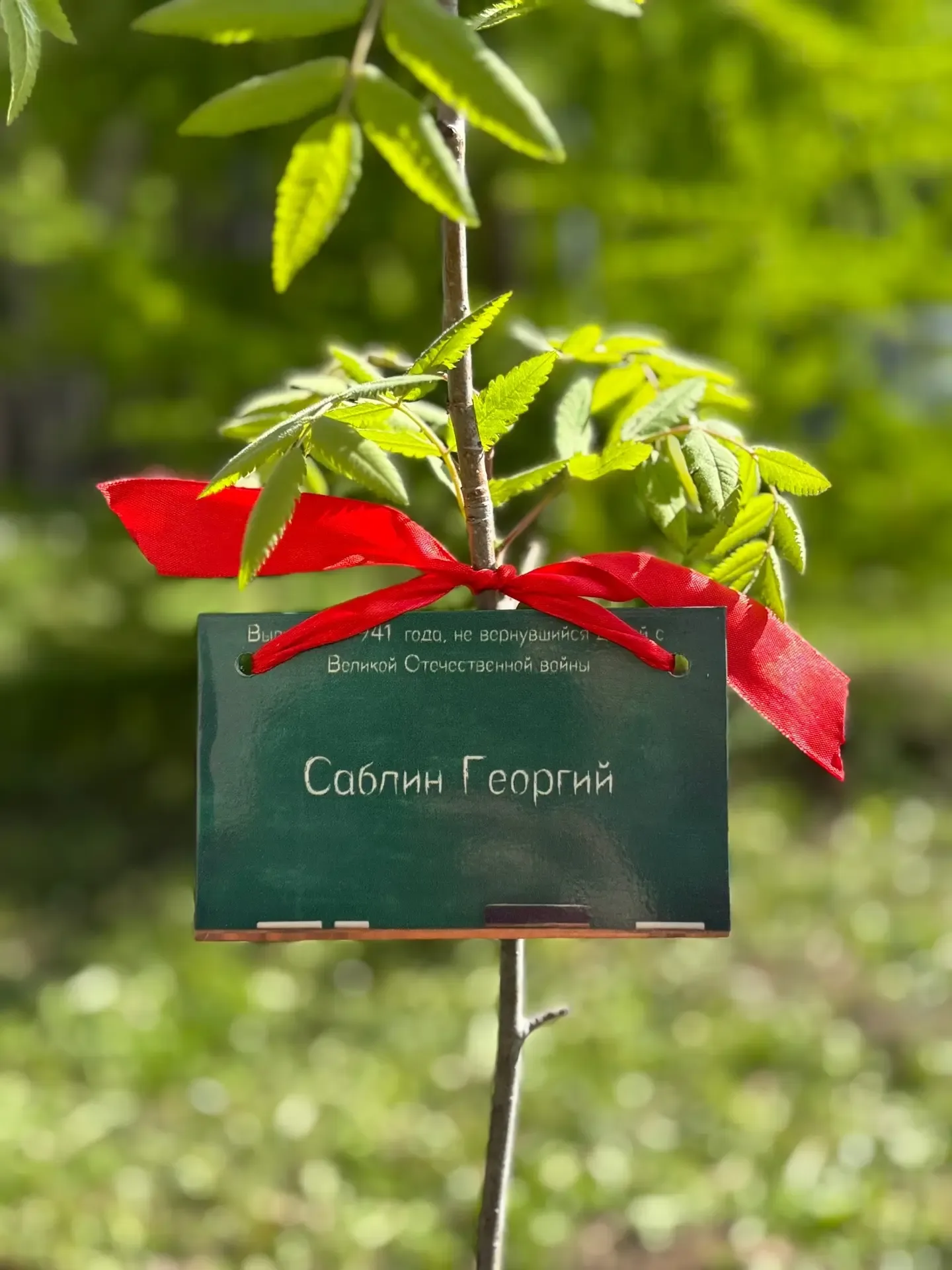 🌱Аллея Победы!🌱  Сегодня было по-настоящему трогательное событие: наши активисты, учителя, уважаемые