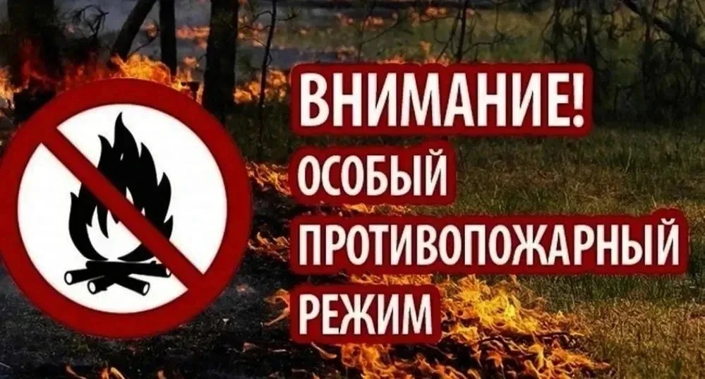 ‼С 15 мая в Саратовской области введен особый противопожарный режим  В связи с установившейся сухой 