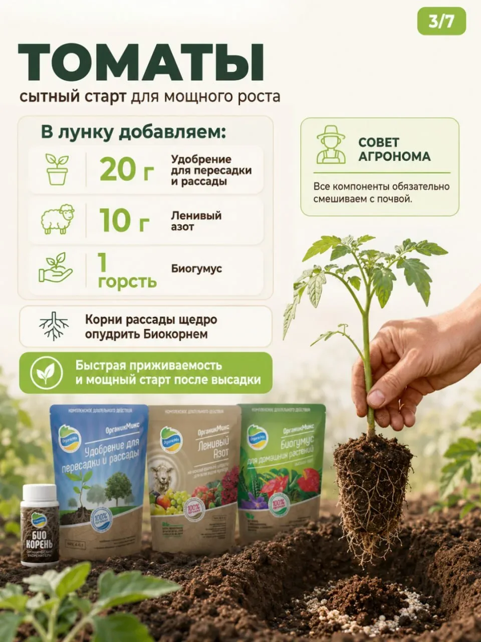Что положить в лунку перед высадкой? У каждой культуры — свой аппетит! 🍅🥒🫑  Приветствуем, друзья! Се