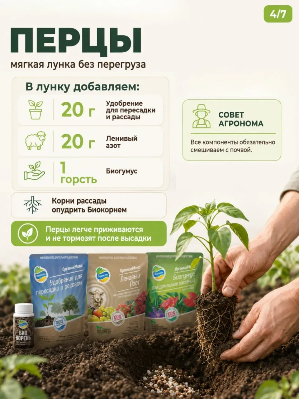 Что положить в лунку перед высадкой? У каждой культуры — свой аппетит! 🍅🥒🫑  Приветствуем, друзья! Се