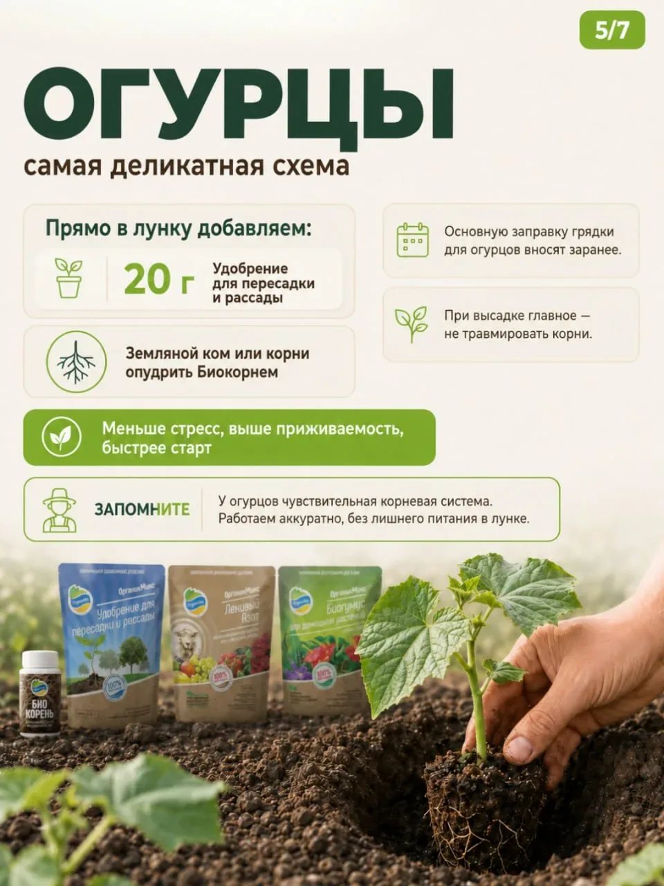 Что положить в лунку перед высадкой? У каждой культуры — свой аппетит! 🍅🥒🫑  Приветствуем, друзья! Се