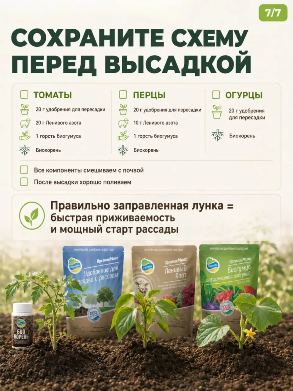 Что положить в лунку перед высадкой? У каждой культуры — свой аппетит! 🍅🥒🫑  Приветствуем, друзья! Се