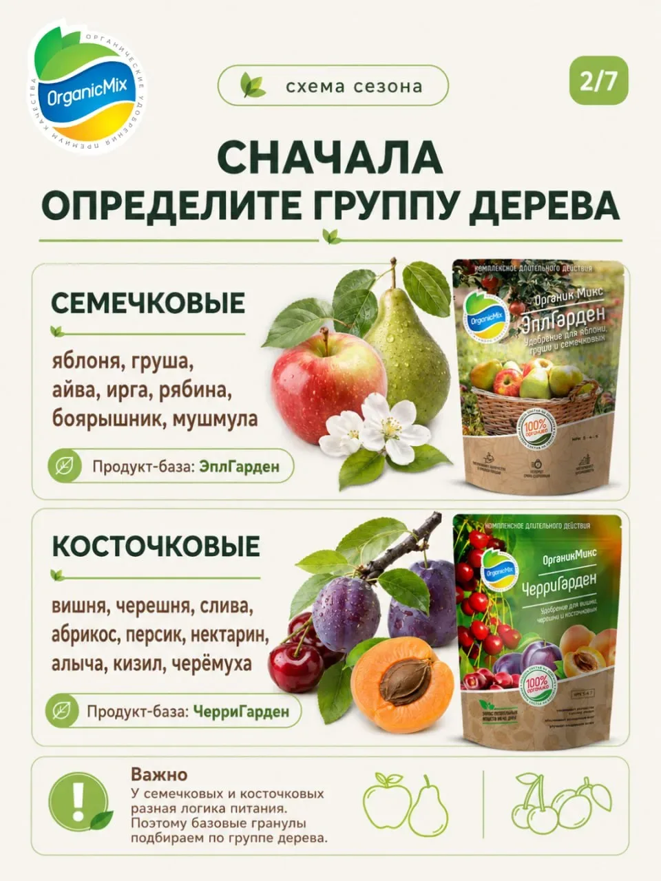 Почему опадают завязи на яблоне и сливе? Как правильно подкормить плодовые деревья в сезон 🍒  ➡️ Поч