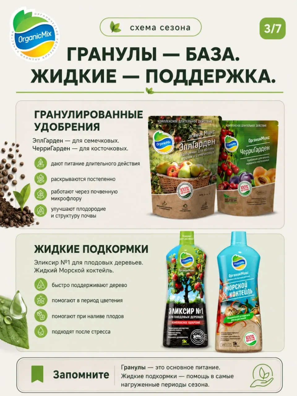 Почему опадают завязи на яблоне и сливе? Как правильно подкормить плодовые деревья в сезон 🍒  ➡️ Поч
