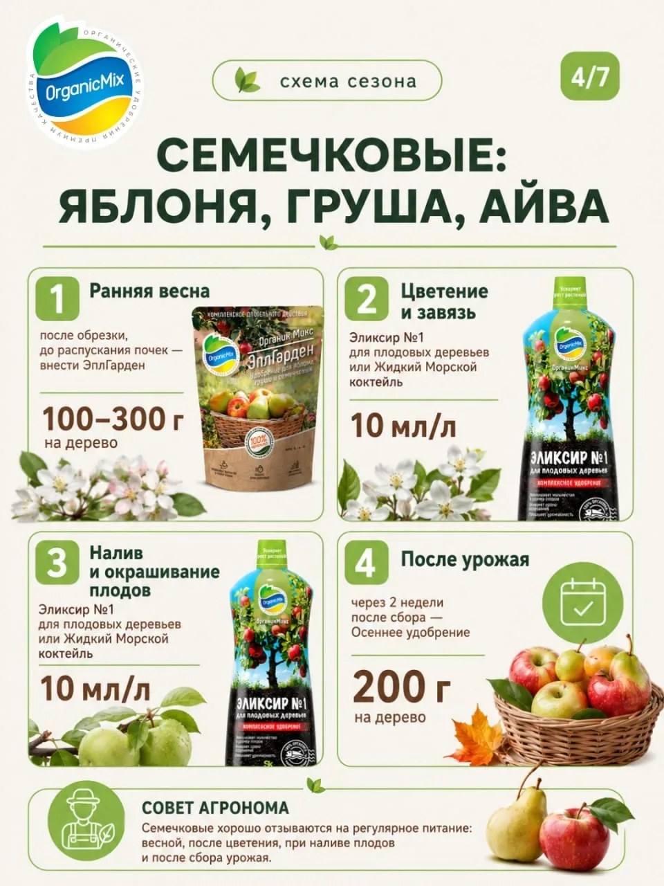 Почему опадают завязи на яблоне и сливе? Как правильно подкормить плодовые деревья в сезон 🍒  ➡️ Поч
