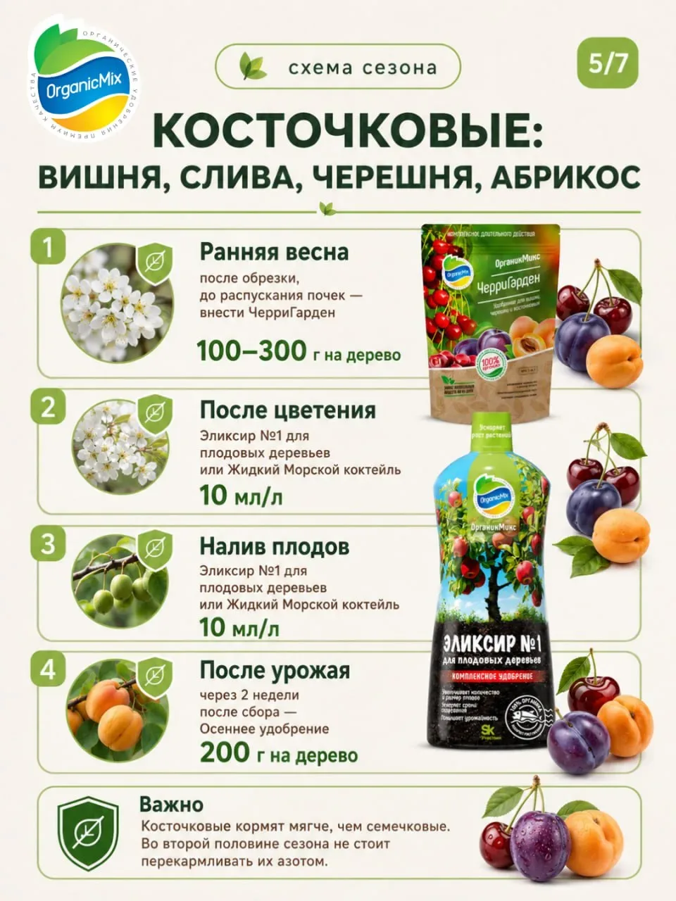 Почему опадают завязи на яблоне и сливе? Как правильно подкормить плодовые деревья в сезон 🍒  ➡️ Поч