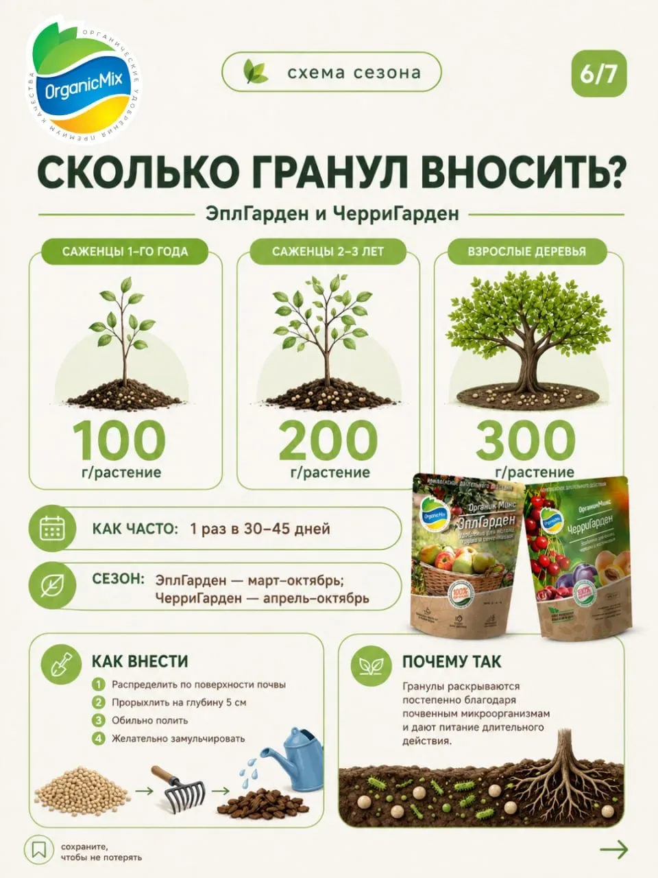 Почему опадают завязи на яблоне и сливе? Как правильно подкормить плодовые деревья в сезон 🍒  ➡️ Поч