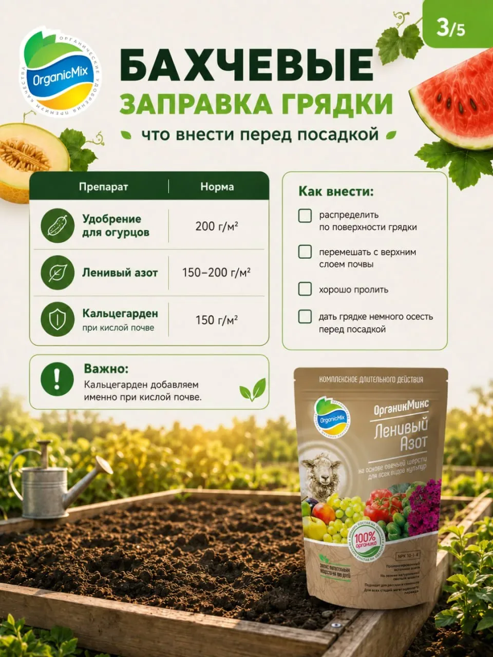 Как вырастить сахарный арбуз в средней полосе в открытом грунте: пошаговый план от посева до высадки