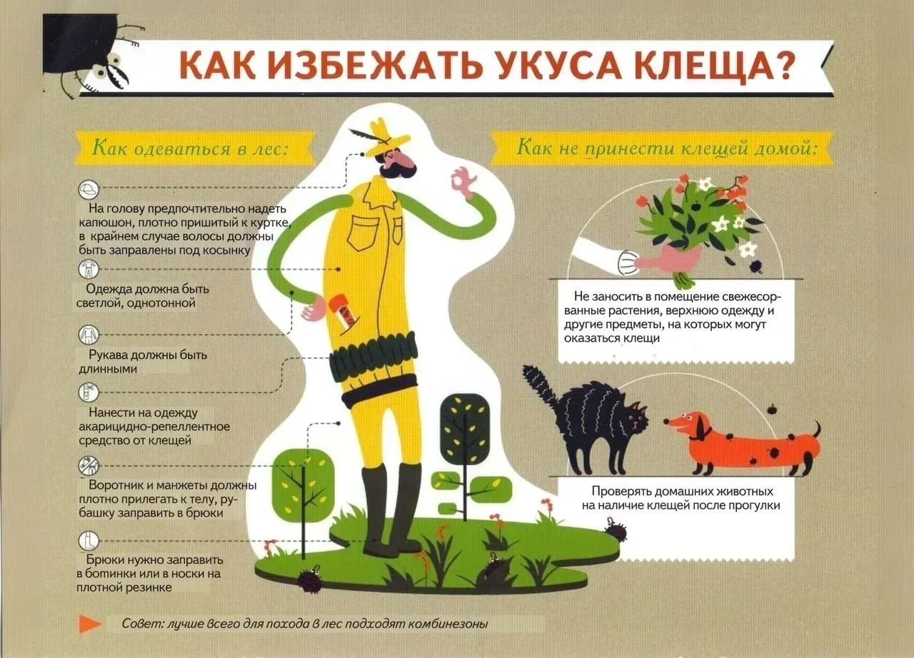 Важные правила безопасности для детей в майские праздники Уважаемые родители и законные представител
