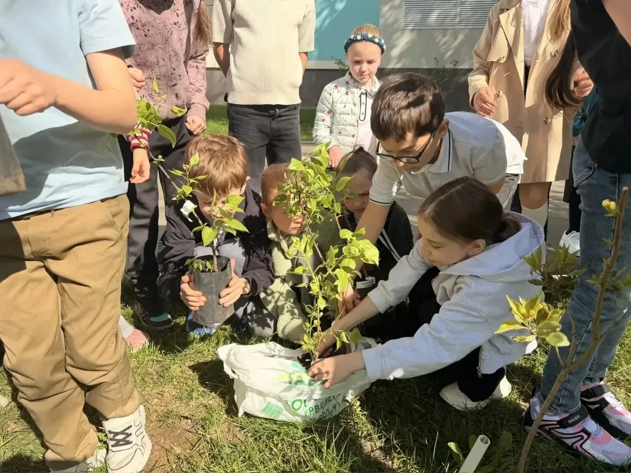 🌸От спасенного дерева — к символу Победы!  📍Новаторов, 28 📍Академика Челомея, 6А  🎖️В нашей школе пр