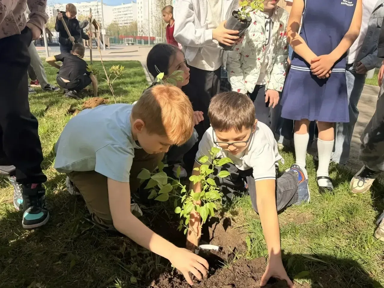 🌸От спасенного дерева — к символу Победы!  📍Новаторов, 28 📍Академика Челомея, 6А  🎖️В нашей школе пр