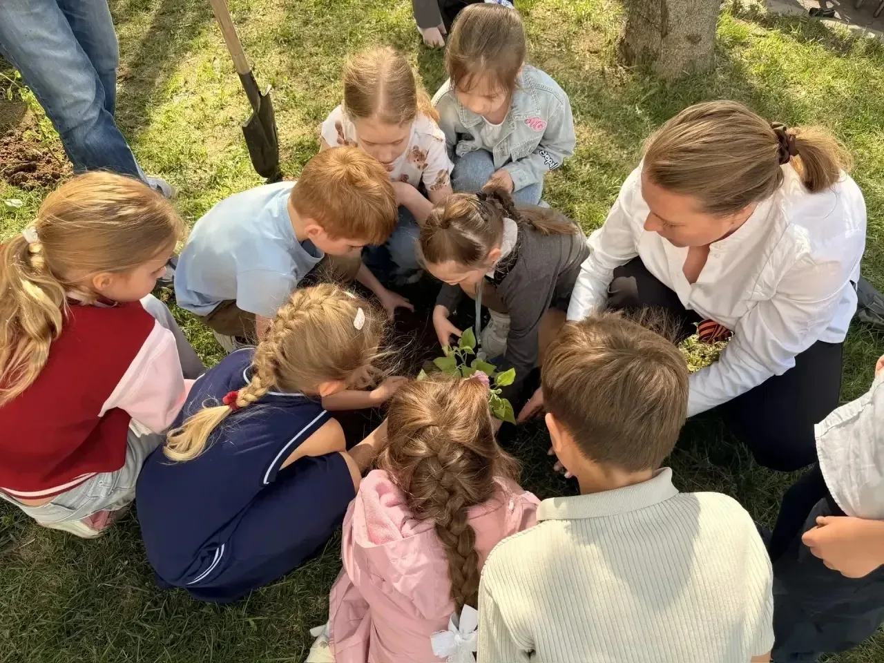 🌸От спасенного дерева — к символу Победы!  📍Новаторов, 28 📍Академика Челомея, 6А  🎖️В нашей школе пр