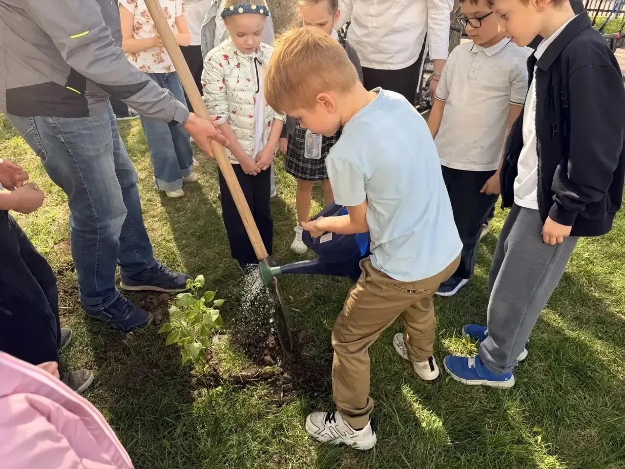 🌸От спасенного дерева — к символу Победы!  📍Новаторов, 28 📍Академика Челомея, 6А  🎖️В нашей школе пр