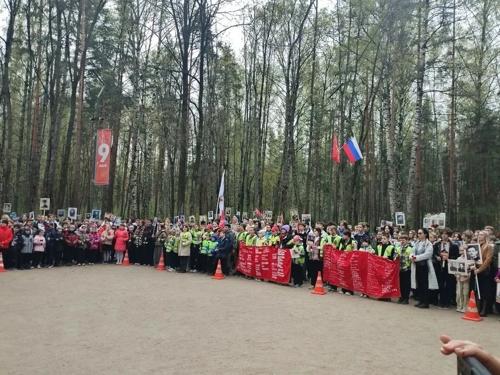 ДЕНЬ ПОБЕДЫ Участие волонтёрского отряда в акции «Памяти павших будьте достойны»   7 мая ученики 8 к