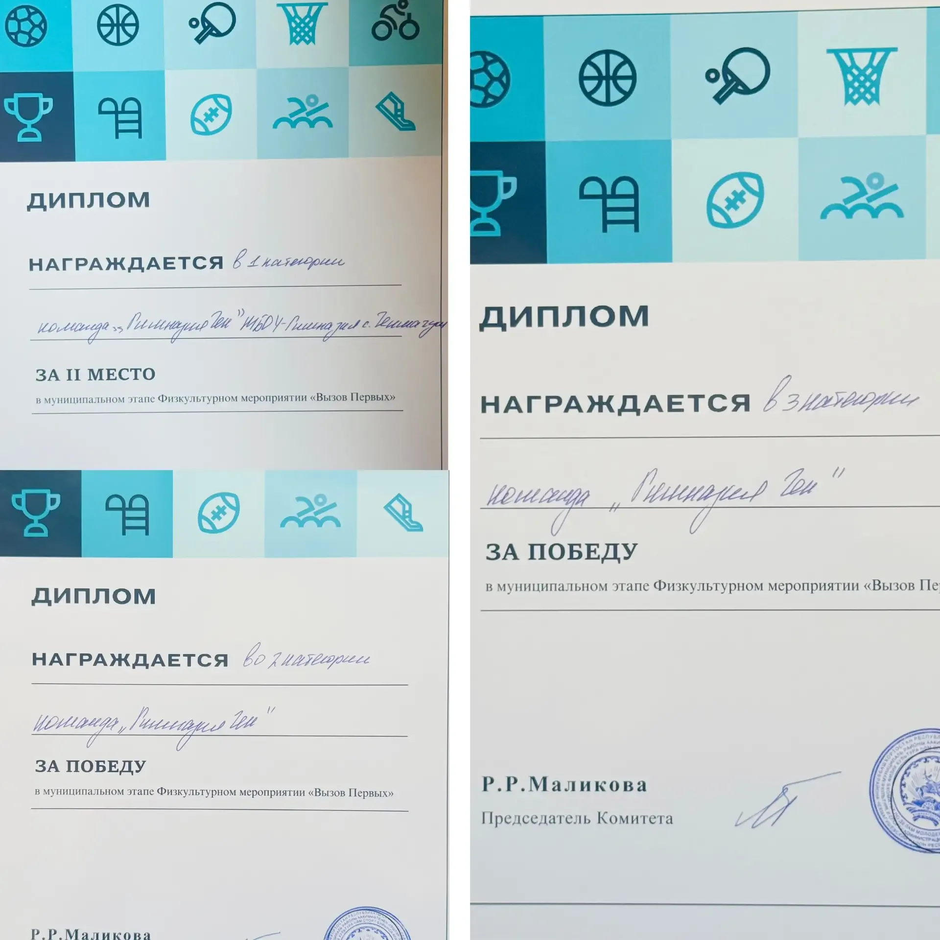 ⚡️ ВЫЗОВ ПРИНЯТ. ВЫЗОВ ВЫПОЛНЕН!   Муниципальный этап проекта «Вызов Первых» завершился для нашей Ги