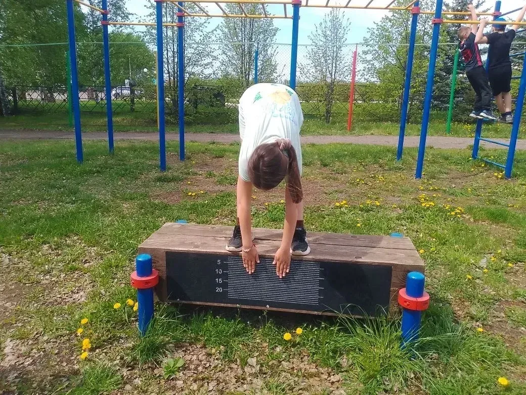 Комплекс ГТО в гимназии: больше, чем просто спорт  🏃 В нашей гимназии подготовка к выполнению нормат