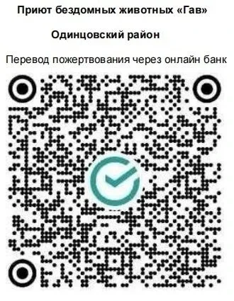 ПОМОГАТЬ ЛЕГКО❤