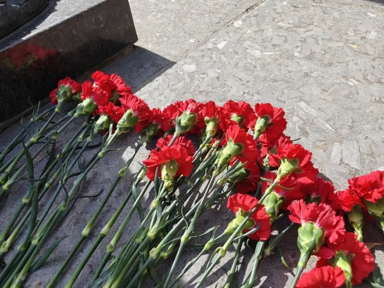 22 апреля — Единый день патронатных акций в Москве                                                  