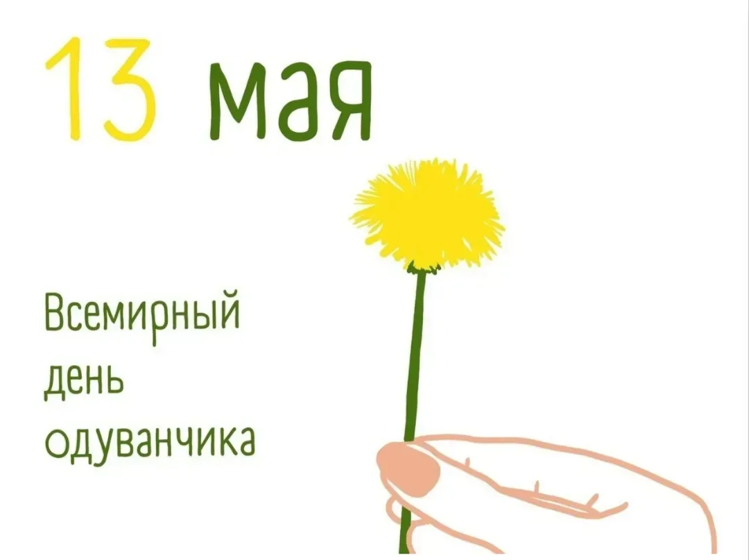 "Поступайте с плохими мыслями, как с одуванчиком. Скажите им „фу-у-у…“ и пускай себе летят…" -  Таша