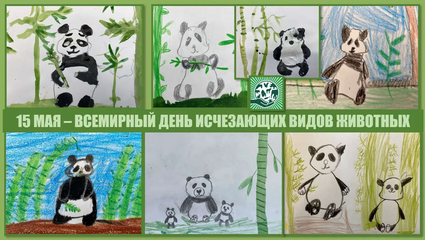 15 мая - Всемирный день исчезающих видов животных  Сегодня по всему миру проходят уроки доброты в за
