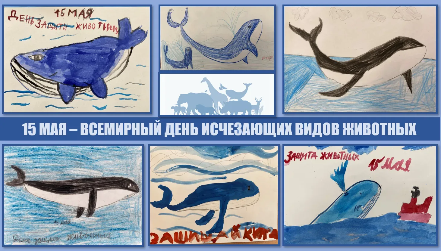 15 мая - Всемирный день исчезающих видов животных  Сегодня по всему миру проходят уроки доброты в за