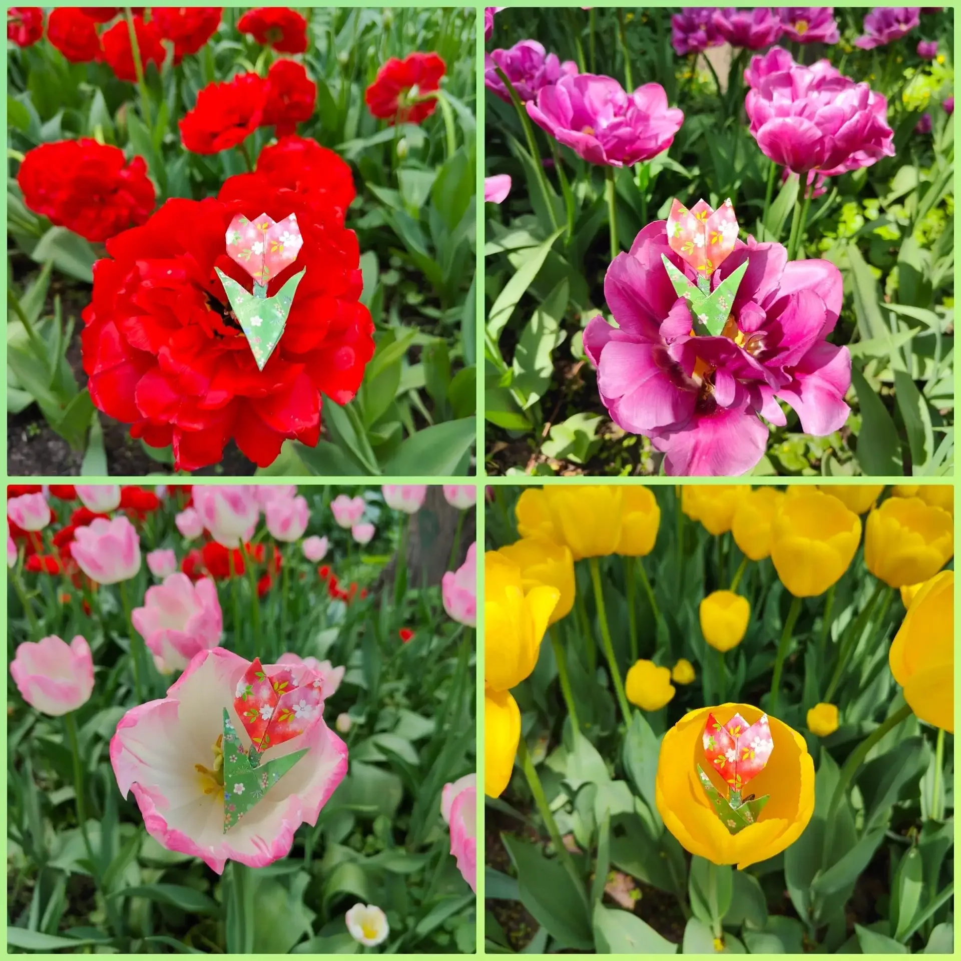 Путешествие ОРИГАМИ тюльпанчика   Студии🌷 Оригами "Бумажная фантазия" и🌷Квиллинга "Бумажные художник