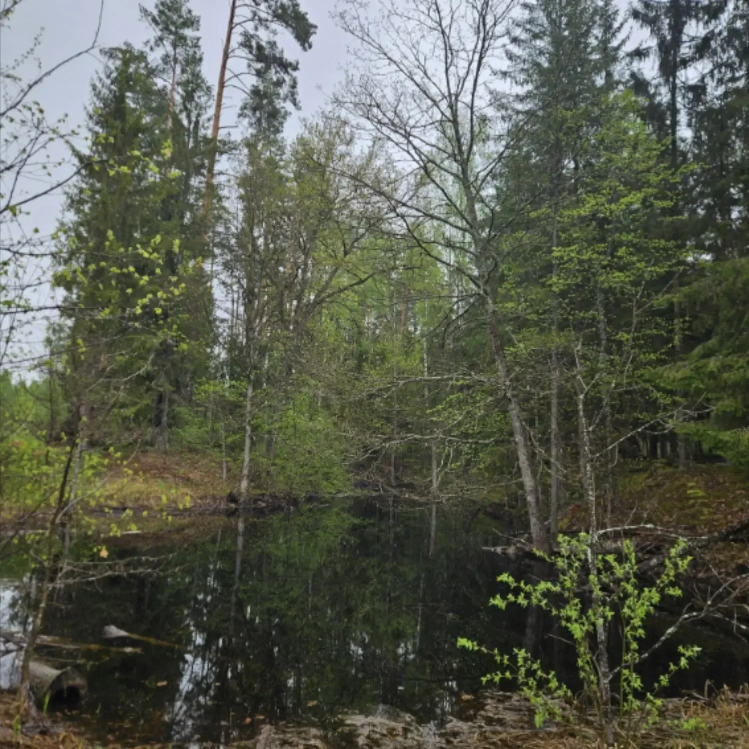 🌦 Несмотря на майский дождь, наши старшеклассники отправились в туристический поход по живописным ок