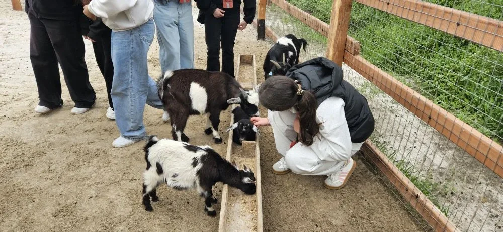 От парка альпак🦙 до палубы теплохода: яркая поездка школьников.⛴  🚍15 мая ребята из 7 «В», 7 «Г» и 8