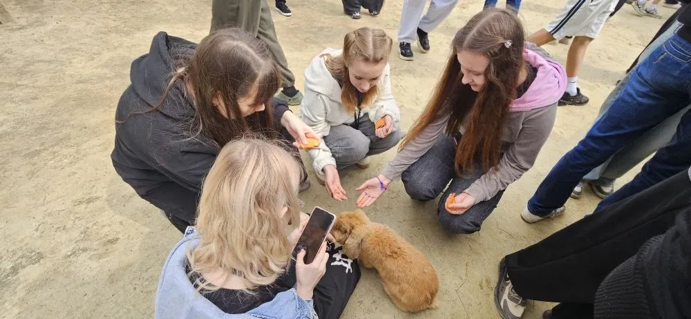 От парка альпак🦙 до палубы теплохода: яркая поездка школьников.⛴  🚍15 мая ребята из 7 «В», 7 «Г» и 8