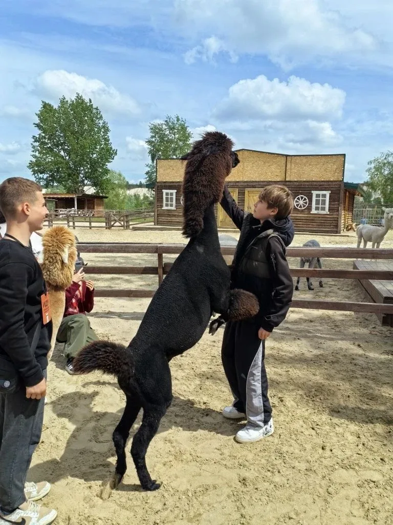 В ГОСТЯХ У СКАЗОЧНЫХ ПАРКОВ 🦙🦙🦙🦙🦙🦙🦙🦙🦙🦙  🎓Учащиеся 8 «Б» и 6 «А» классов совершили экскурсию в «Лого»