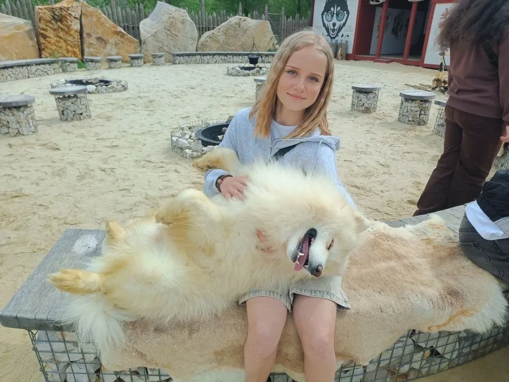 В ГОСТЯХ У СКАЗОЧНЫХ ПАРКОВ 🦙🦙🦙🦙🦙🦙🦙🦙🦙🦙  🎓Учащиеся 8 «Б» и 6 «А» классов совершили экскурсию в «Лого»