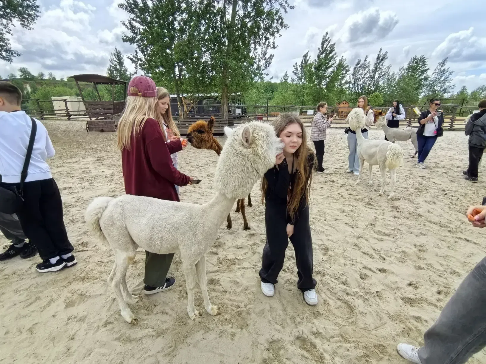 В ГОСТЯХ У СКАЗОЧНЫХ ПАРКОВ 🦙🦙🦙🦙🦙🦙🦙🦙🦙🦙  🎓Учащиеся 8 «Б» и 6 «А» классов совершили экскурсию в «Лого»