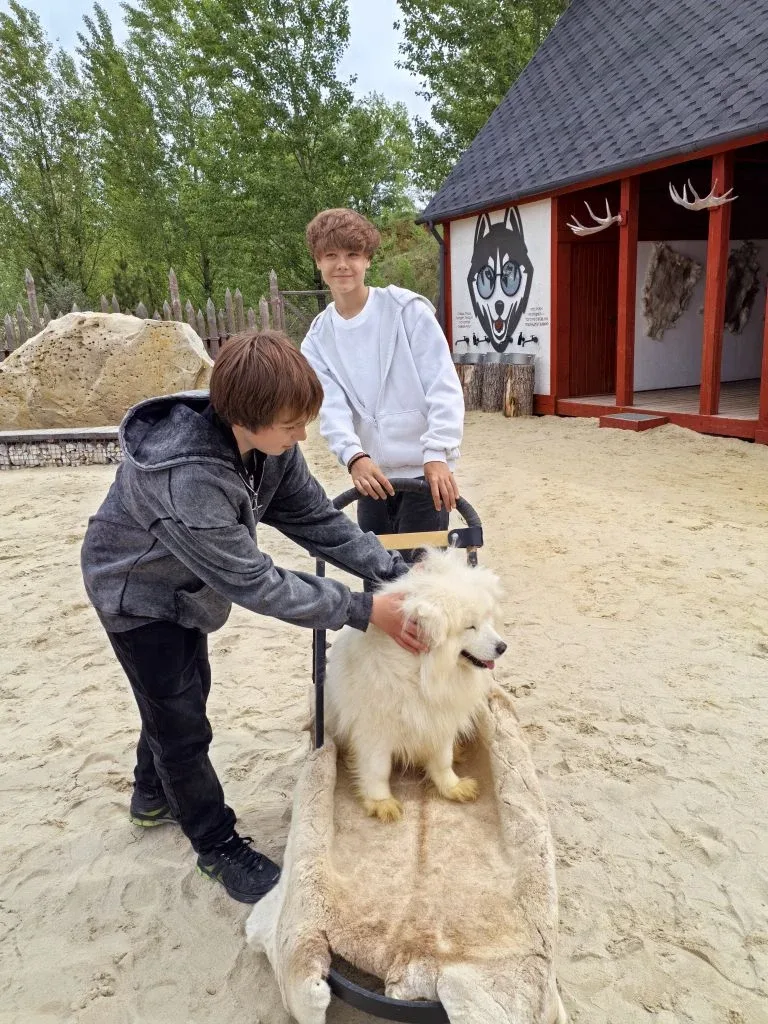 В ГОСТЯХ У СКАЗОЧНЫХ ПАРКОВ 🦙🦙🦙🦙🦙🦙🦙🦙🦙🦙  🎓Учащиеся 8 «Б» и 6 «А» классов совершили экскурсию в «Лого»