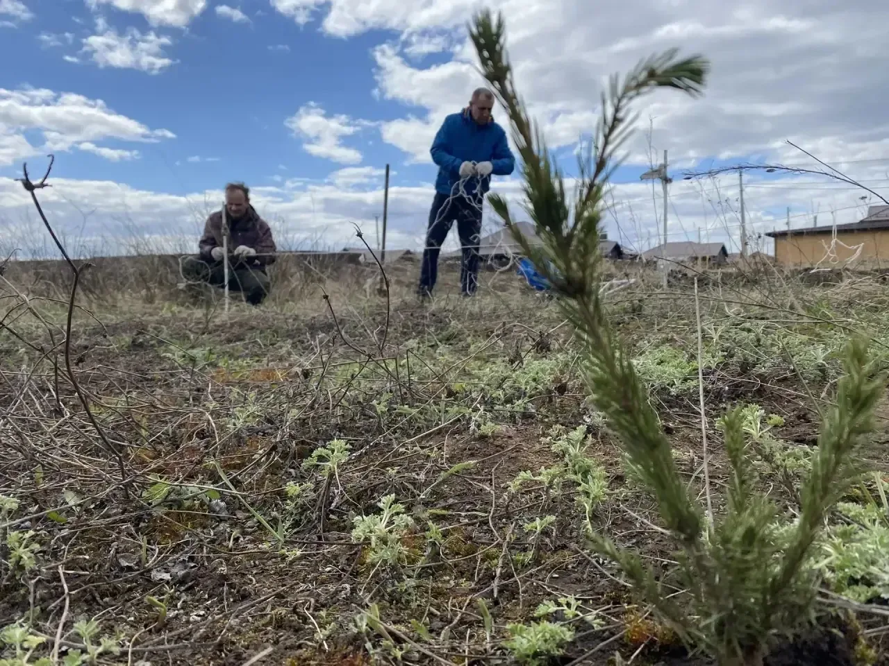 Хранители малой родины🌳  Жители улицы Хирурга Шакурова деревни Азьмушкино ежегодно доказывают, как в