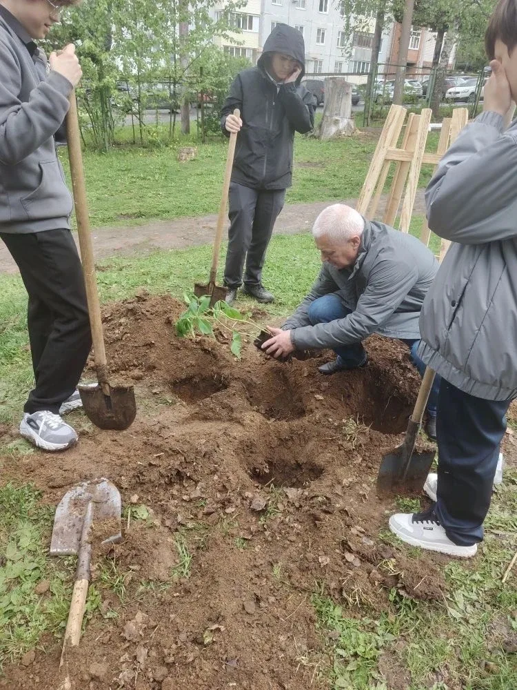 Посадка деревьев на территории школы №24  🌱В рамках Всероссийской акции «Сад — Связь поколений» на т