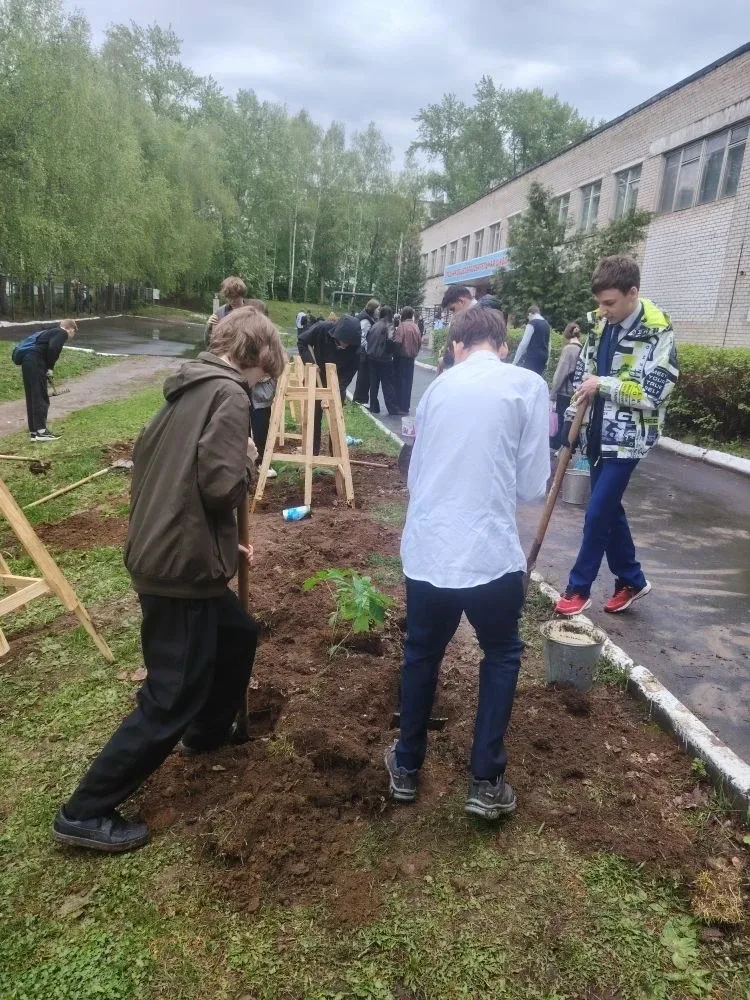 Посадка деревьев на территории школы №24  🌱В рамках Всероссийской акции «Сад — Связь поколений» на т