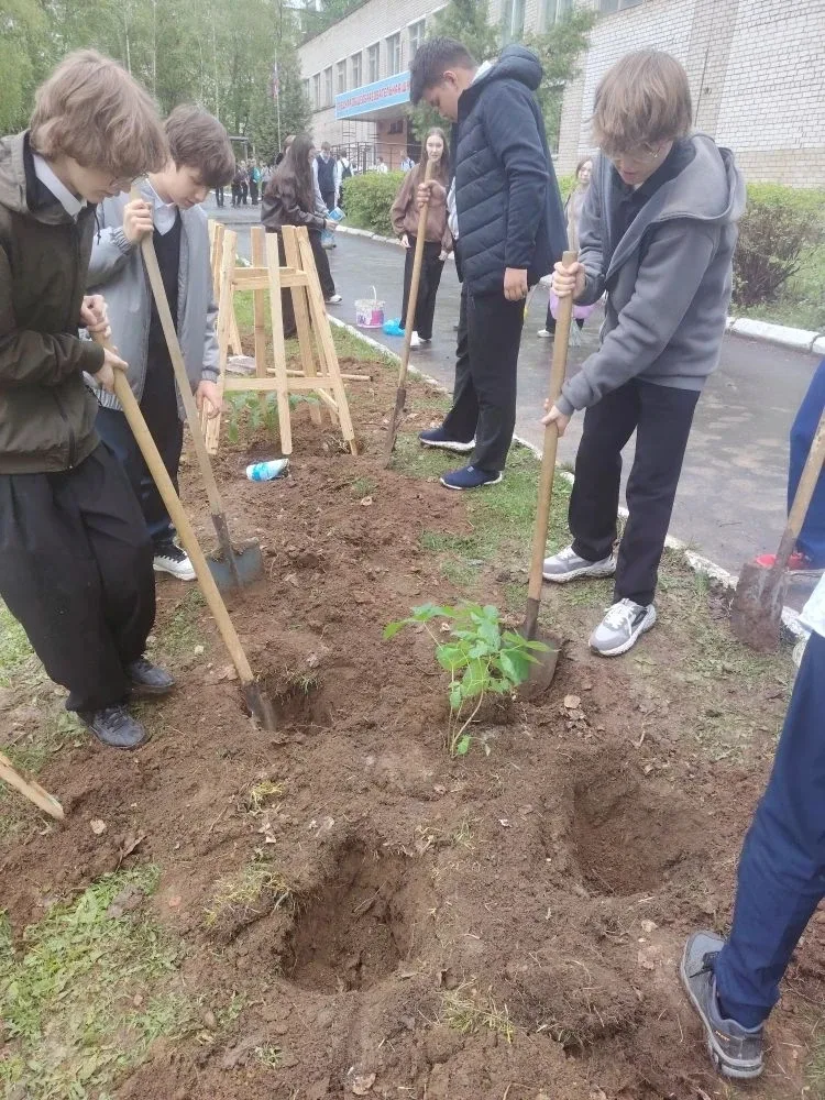 Посадка деревьев на территории школы №24  🌱В рамках Всероссийской акции «Сад — Связь поколений» на т