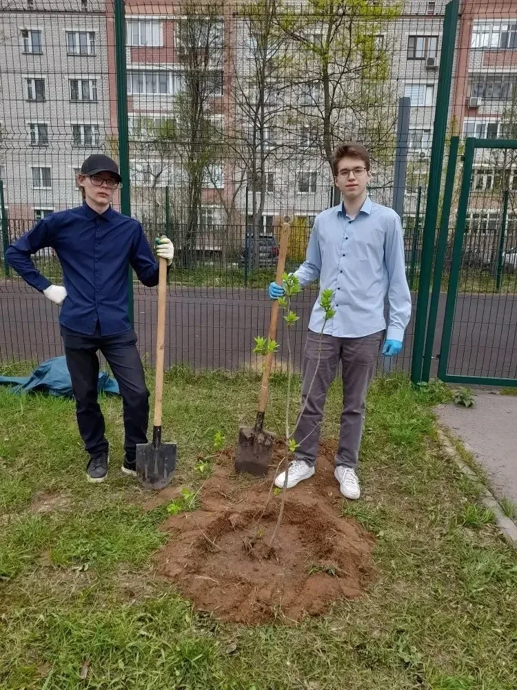 🌳В этом году по всей стране проходит Всероссийская акция «НАСЛЕДНИКИ ПОБЕДЫ», приуроченная к праздно