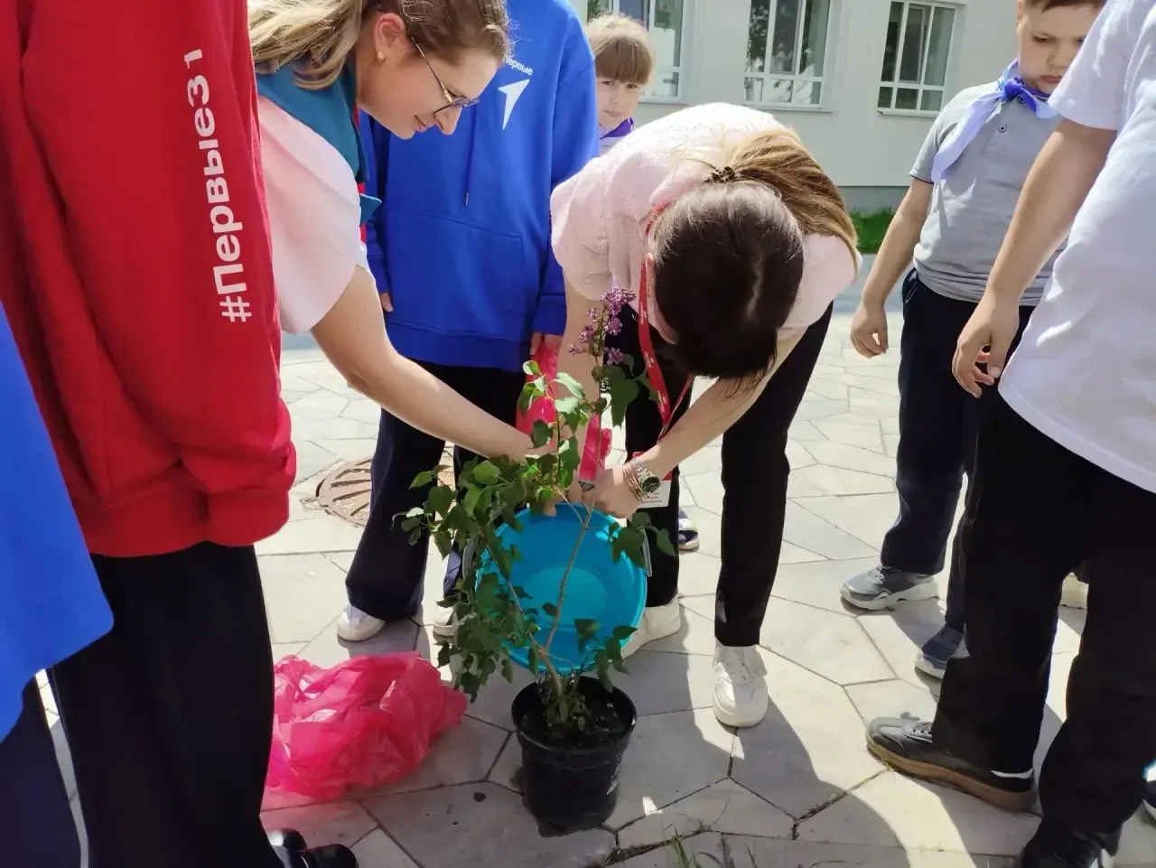 🌸 «Сад Памяти»: сирень в честь героя Сергея Панченко  Сегодня МБОУ «Гимназия №5» приняла участие в м