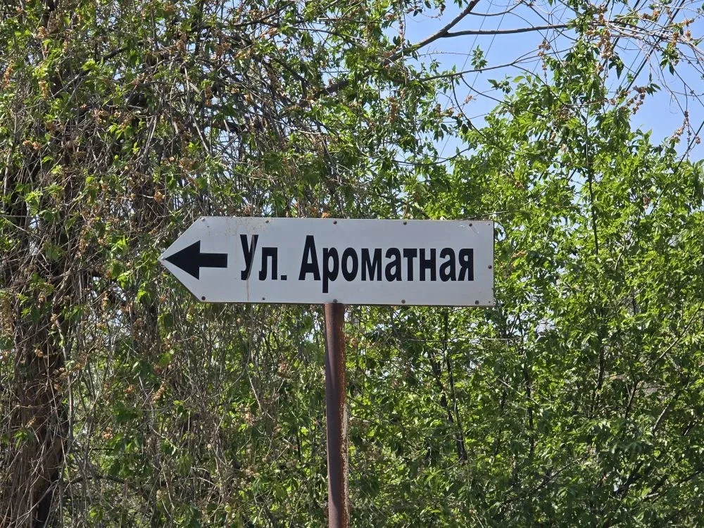 Как оказалось, горячую воду решили выключить уже сегодня, будем немытыми ходить получается. Причины 