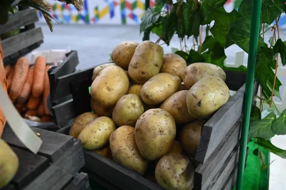 🛍 Ярмарка в Ровеньках собрала местных производителей  В поселке Ровеньки 16 мая прошла традиционная 