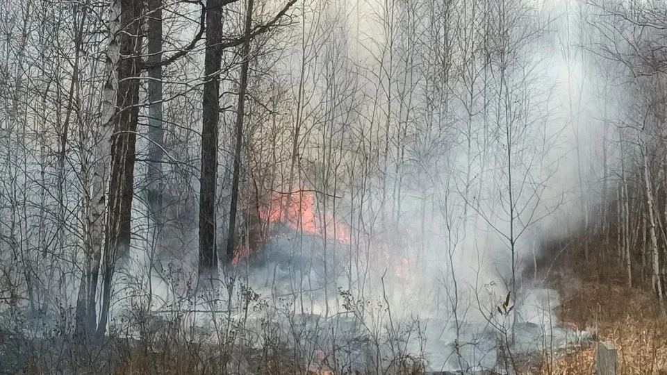 🔥 Высокая пожароопасность ожидается в ЛНР  До конца суток 17 мая и в течение суток 18 мая местами по